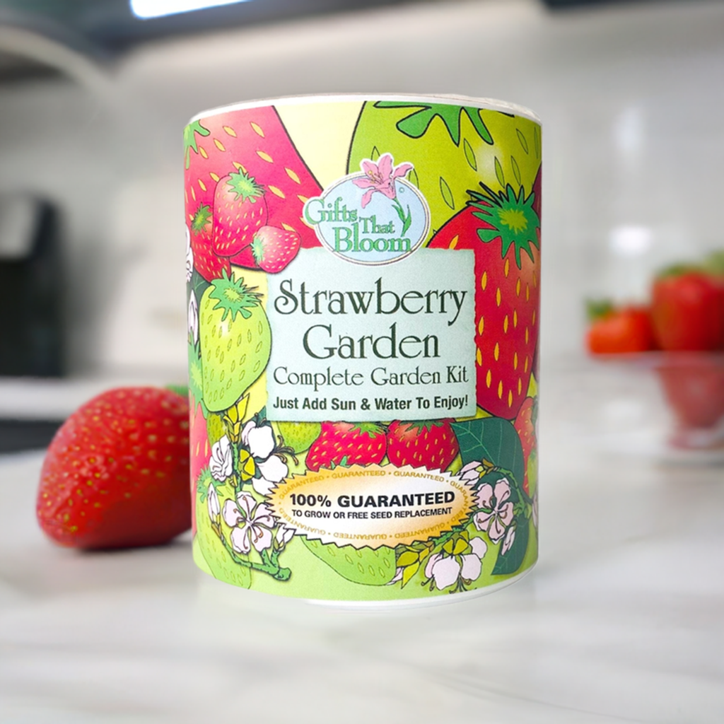 Strawberry Garden Grocan Seed Kit