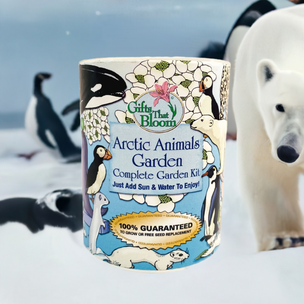 Arctic Animals Garden Grocan Seed kits