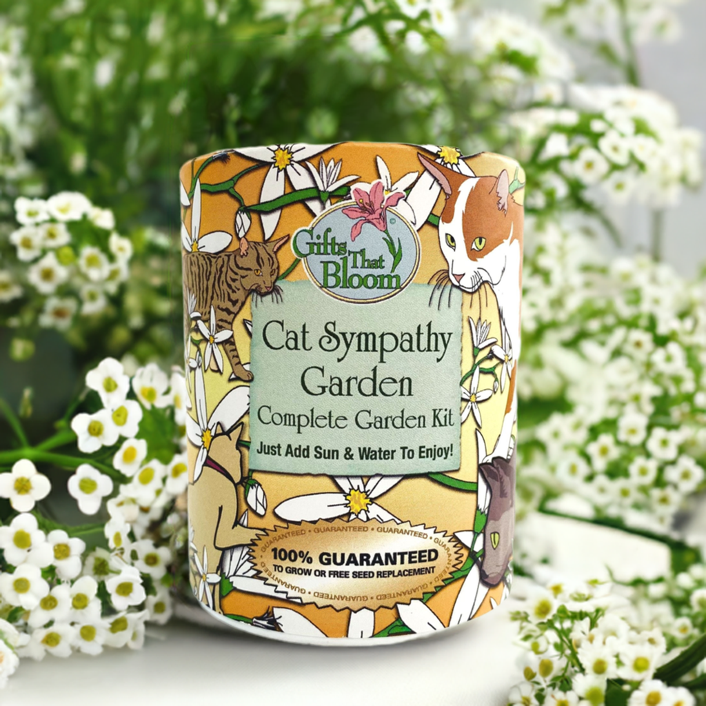 Cat Sympathy Garden Grocan Seed Kit