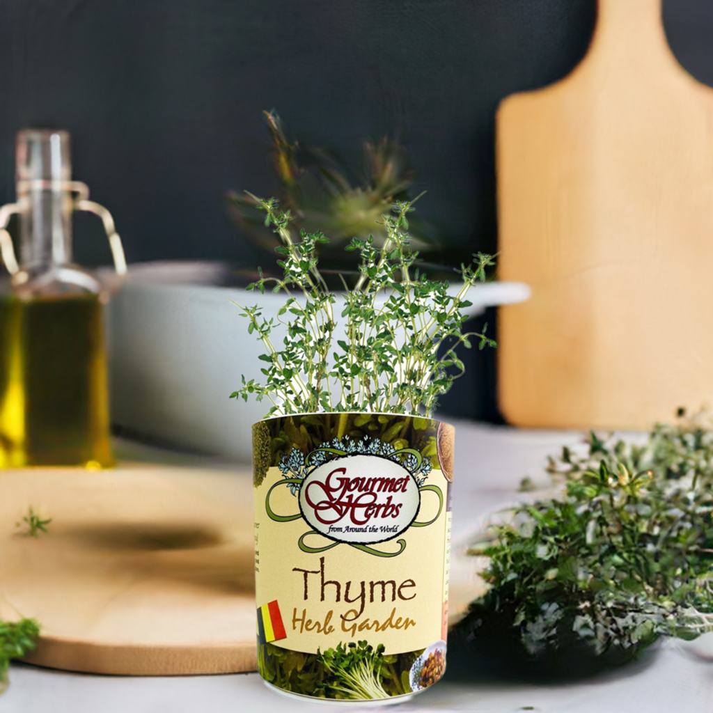 Thyme Garden Grocan