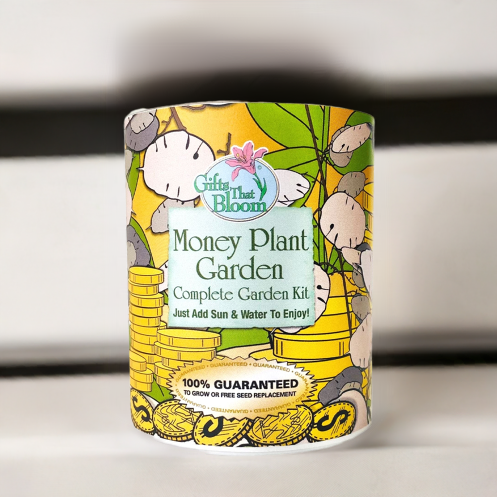 Money Plant Garden Grocan Seed Kit