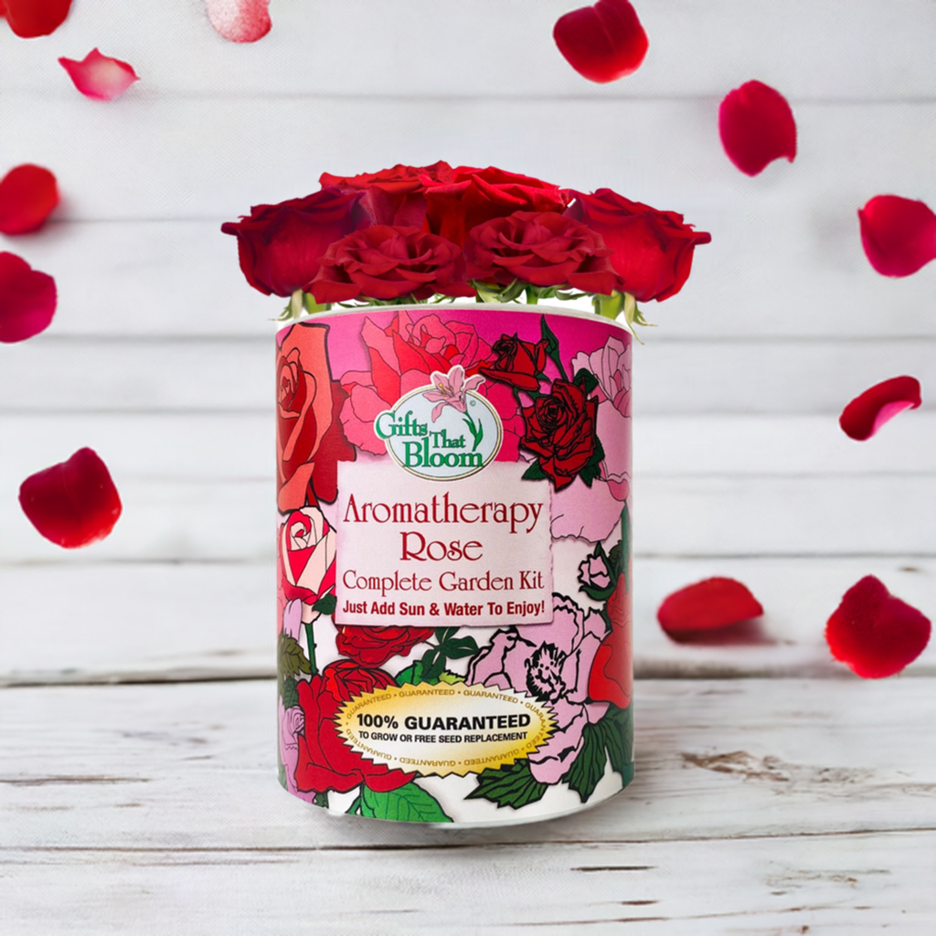 Aromatherapy Rose Garden Grocan