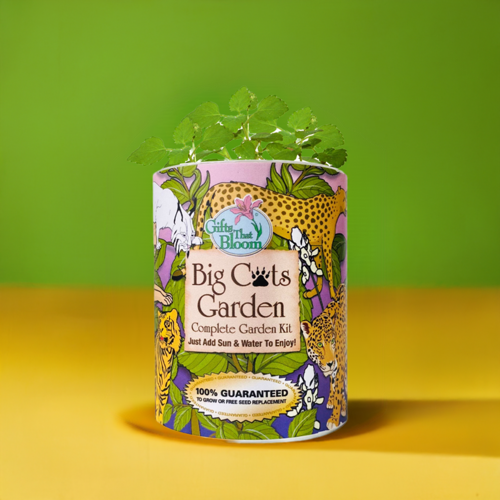 Big Cats Garden Grocan Seed KIt