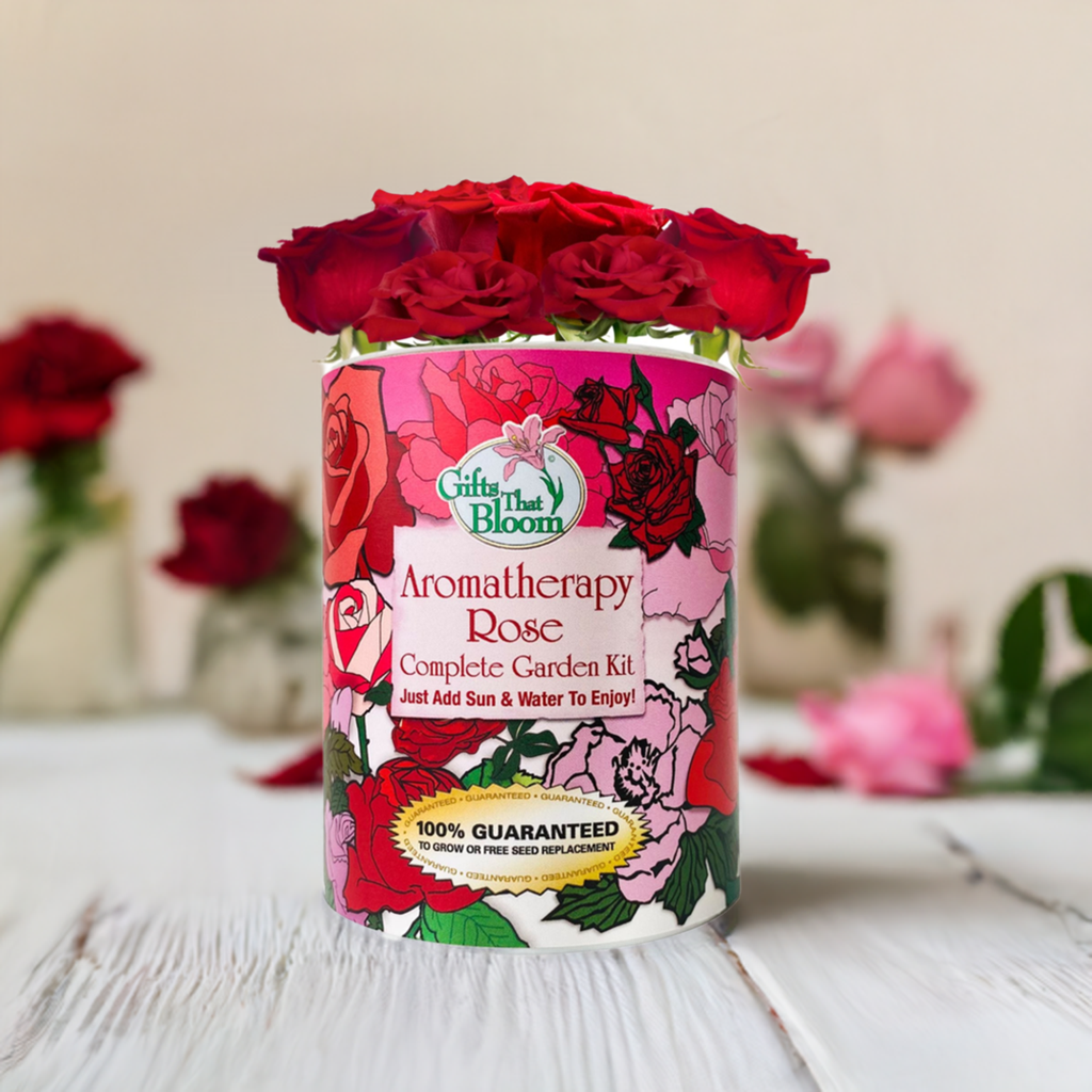 Aromatherapy Rose Garden Grocan