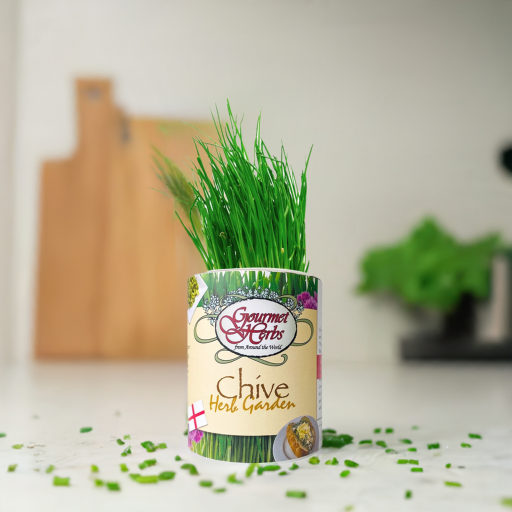 Chive Garden Grocan