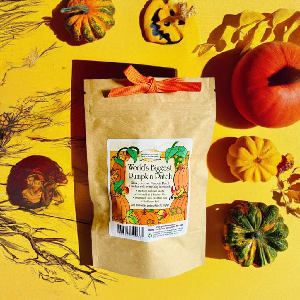 World's Biggest Pumpkin Patch Garden Grobag Seed Kit