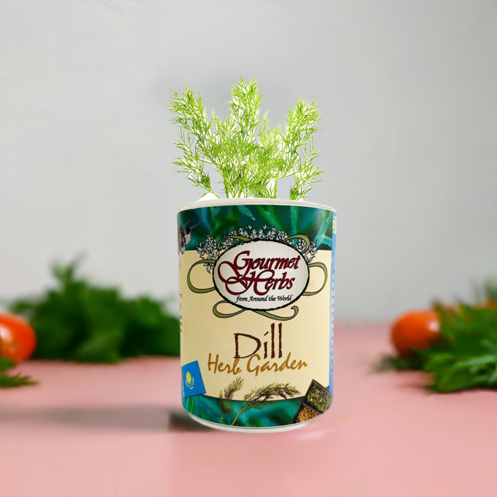 Dill Herb Garden Grocan Seed Kit