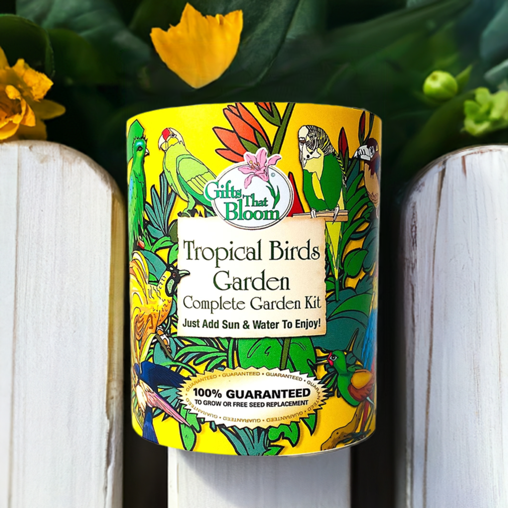 Tropical Birds Garden Grocan Seed Kit