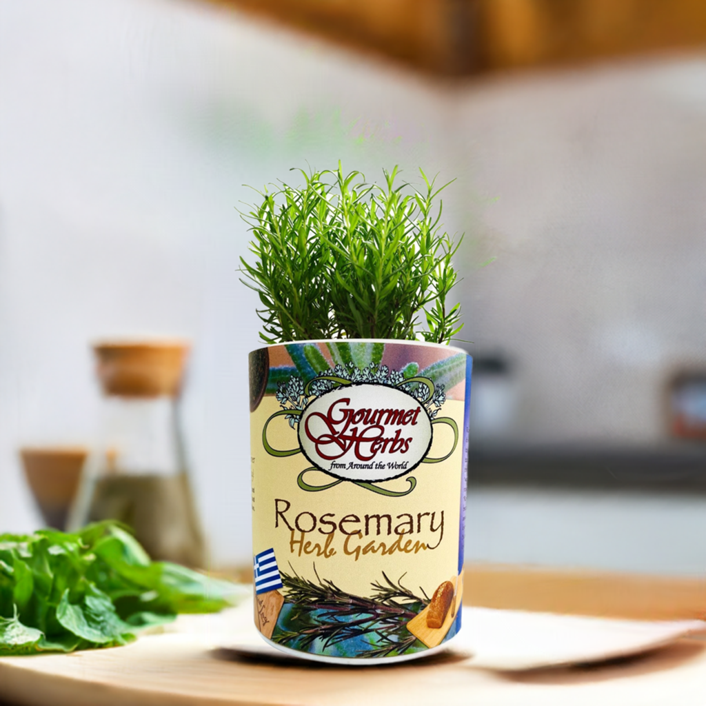 Rosemary Garden Grocan