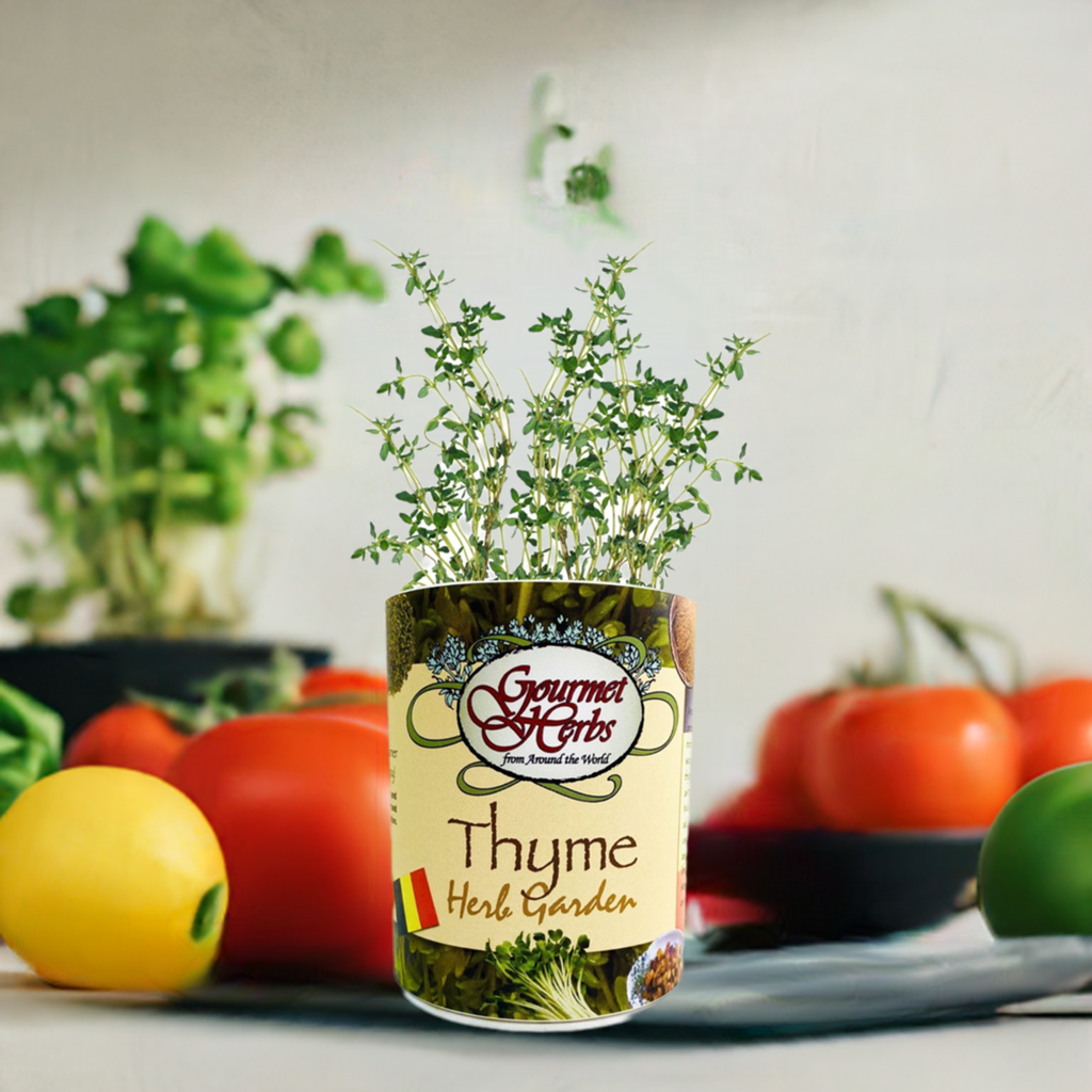 Thyme Garden Grocan