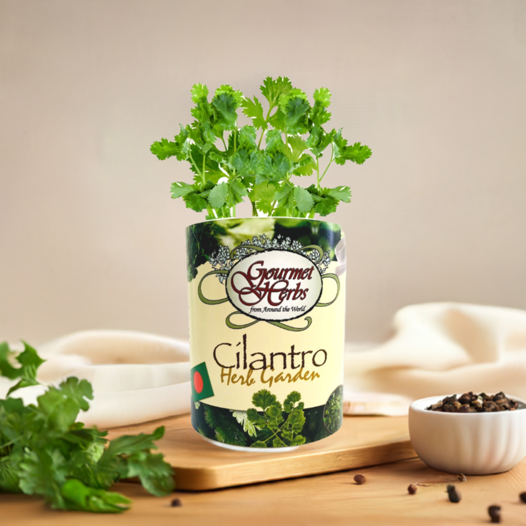 Cilantro Garden Grocan