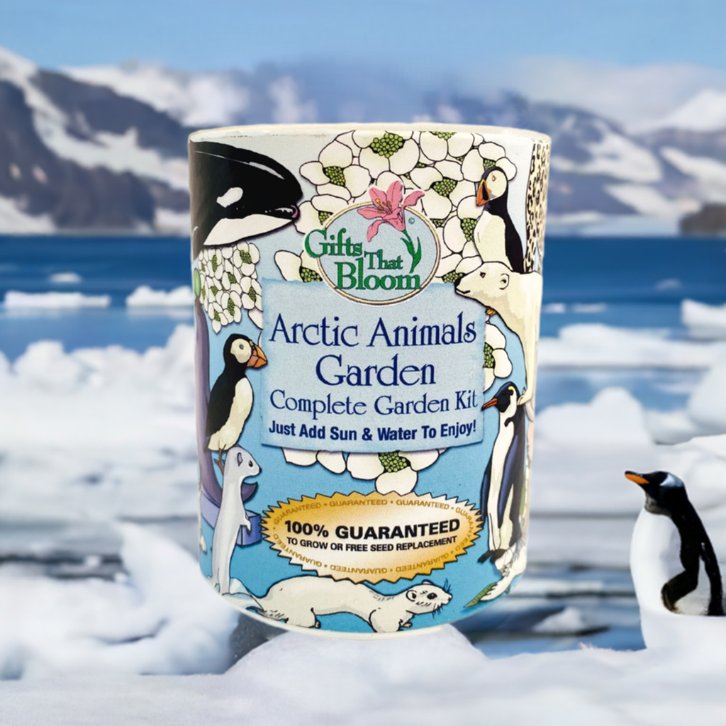 Arctic Animals Garden Grocan Seed kits