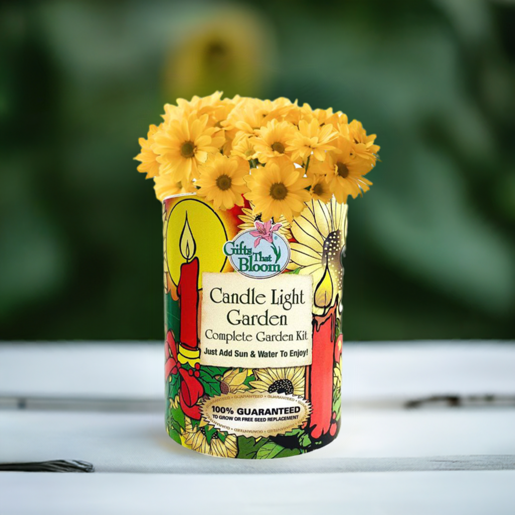 Candle Light Garden Grocan Seed kit