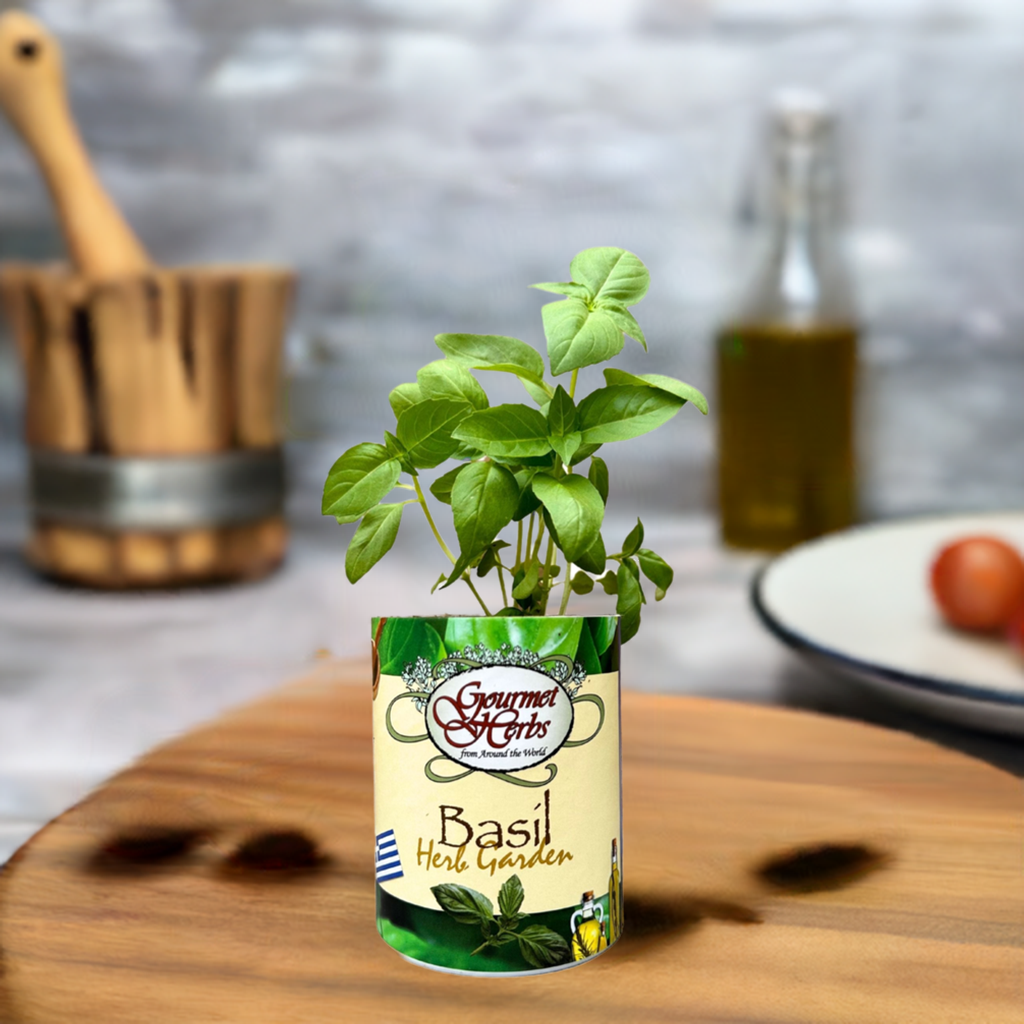 Basil Herb Garden Grocan Seed Kit