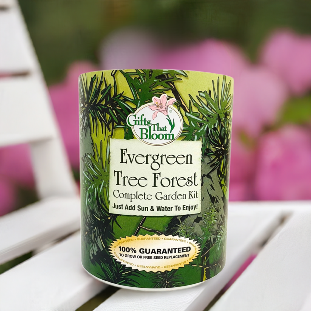 Evergreen Tree Forest Garden Grocan