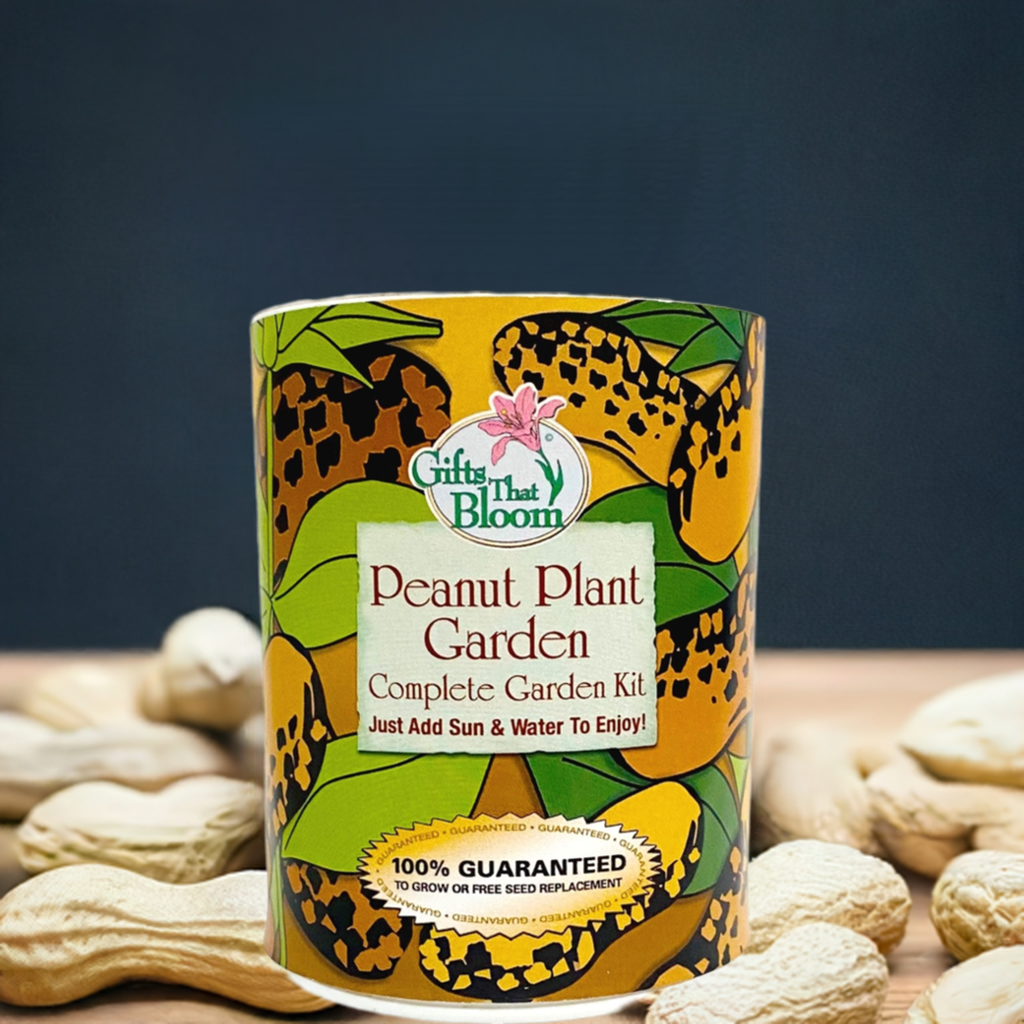 Peanut Plant Garden Grocan Seed Kit