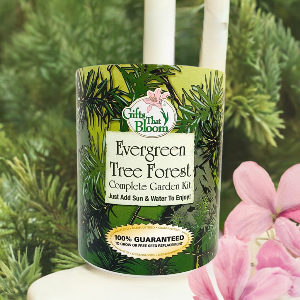 Evergreen Tree Forest Garden Grocan