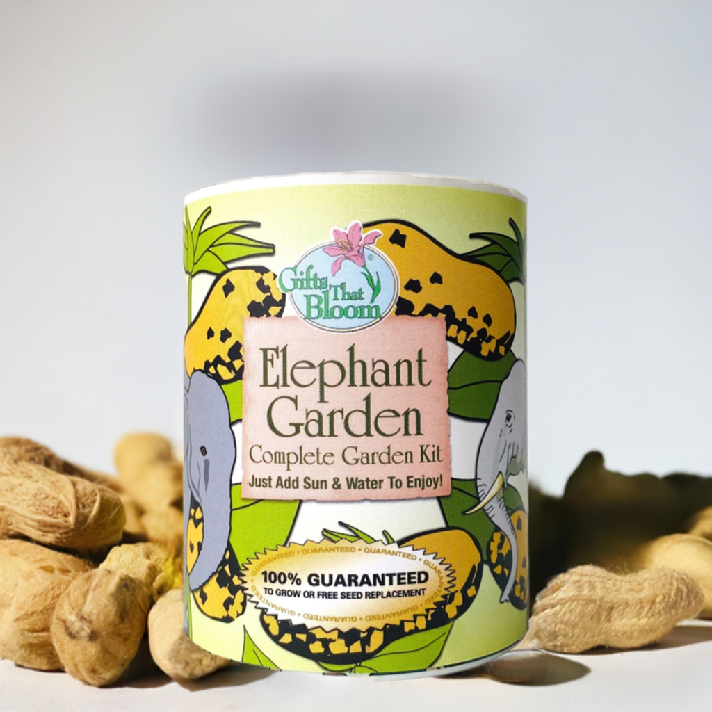 Elephant Garden Grocan Seed Kit