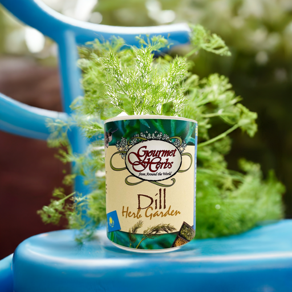 Dill Herb Garden Grocan Seed Kit