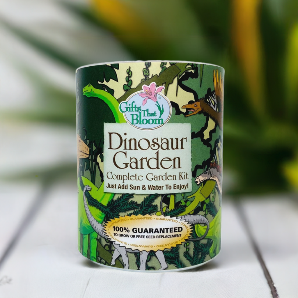 Dinosaur Garden Grocan Seed Kit