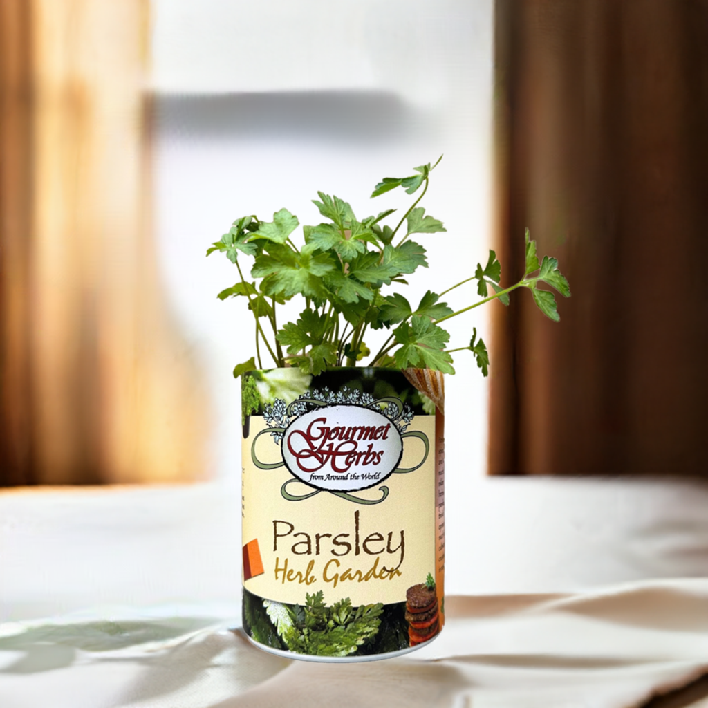 Parsley Garden Grocan