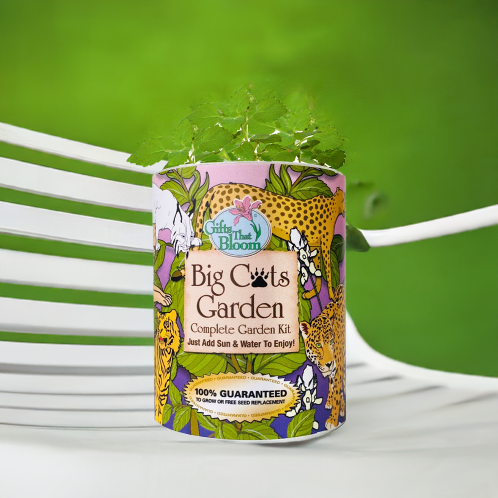 Big Cats Garden Grocan Seed KIt