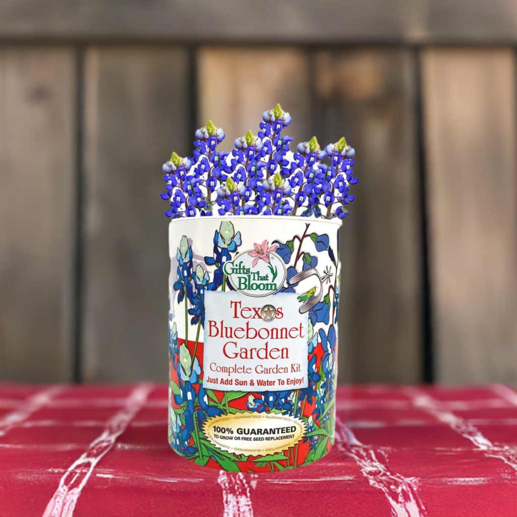 Texas Bluebonnet Garden Grocan