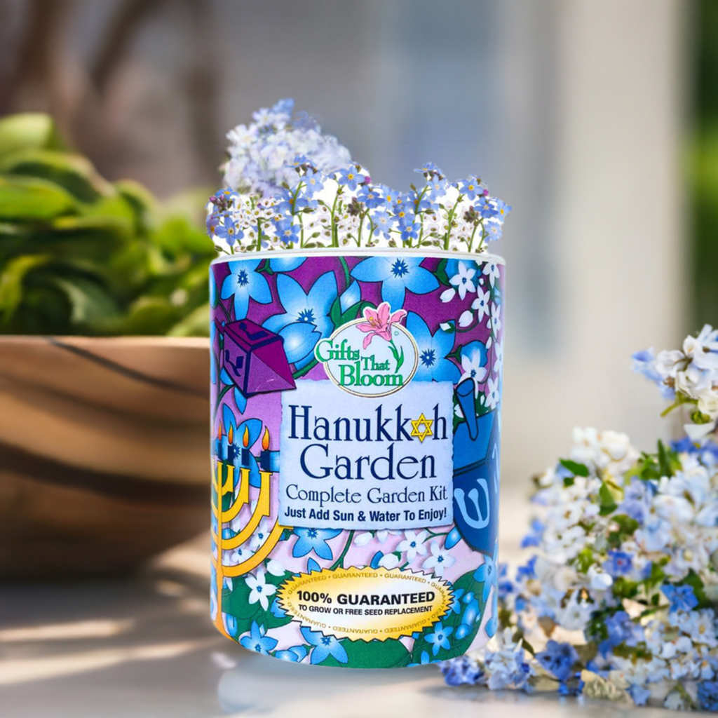 Hanukkah Garden Grocan Seed Kit