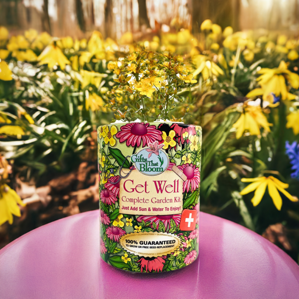 Get Well Garden Grocan Seed Kit