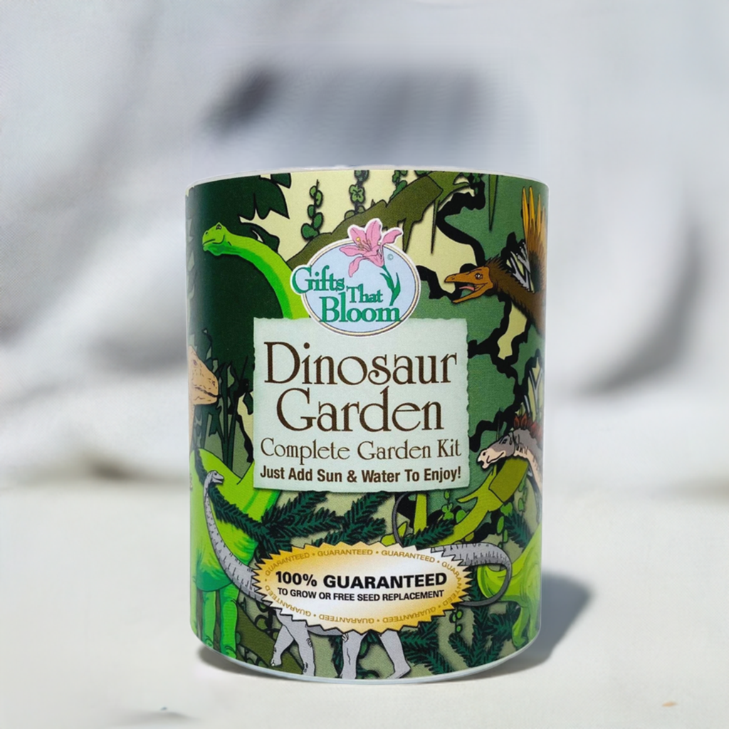 Dinosaur Garden Grocan Seed Kit