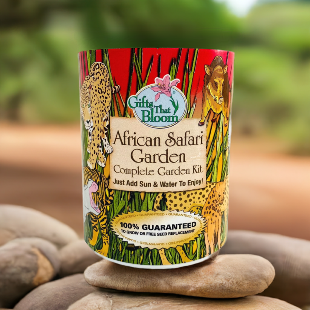 African Safari Garden Grocan Seed Kit