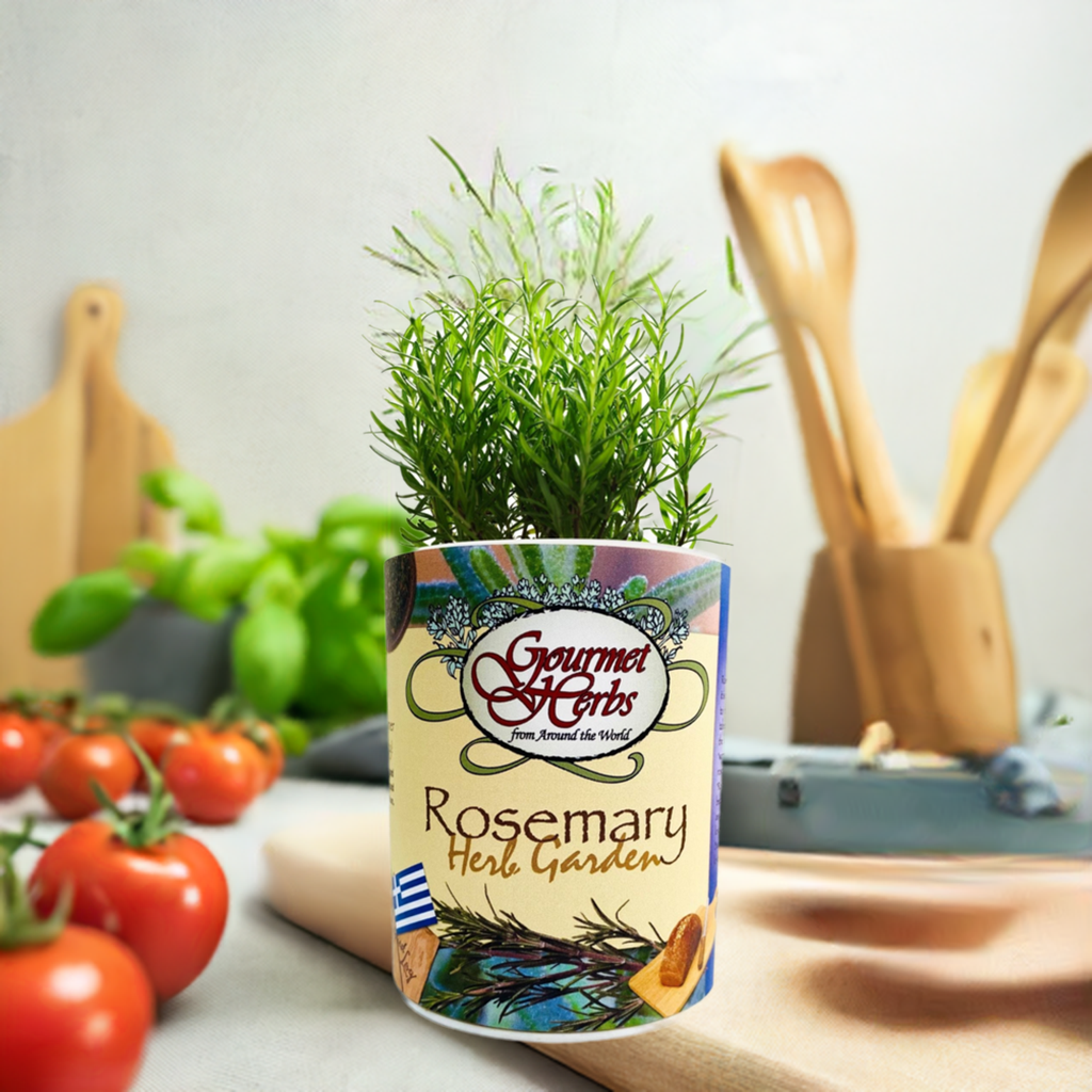 Rosemary Garden Grocan