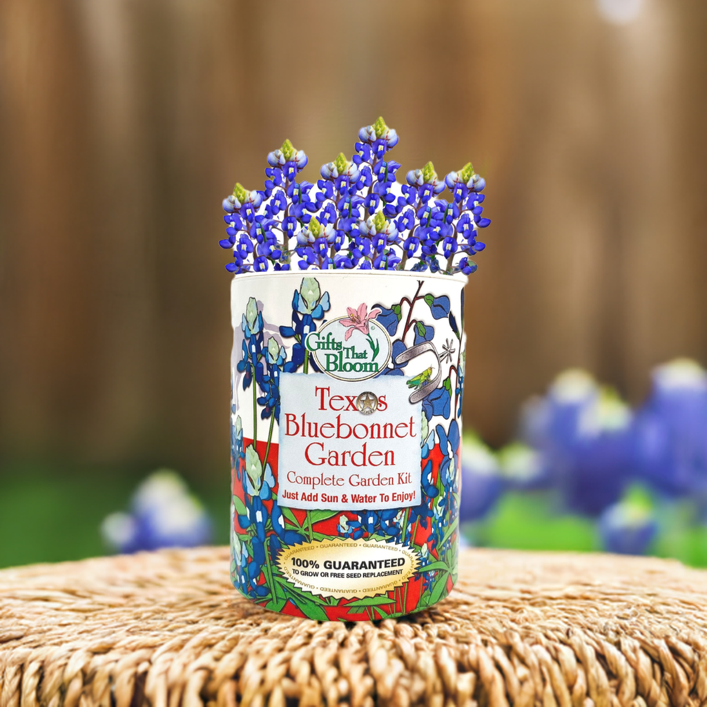 Texas Bluebonnet Garden Grocan