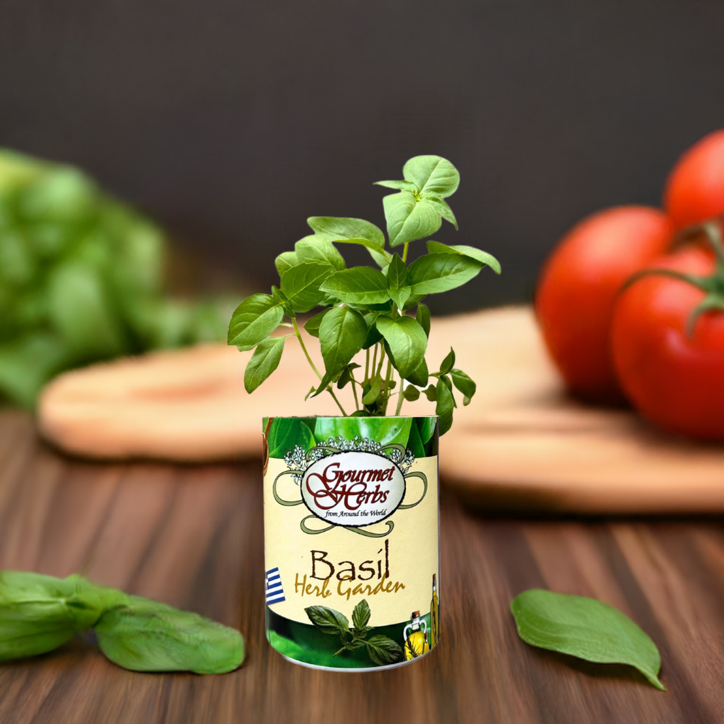 Basil Herb Garden Grocan Seed Kit