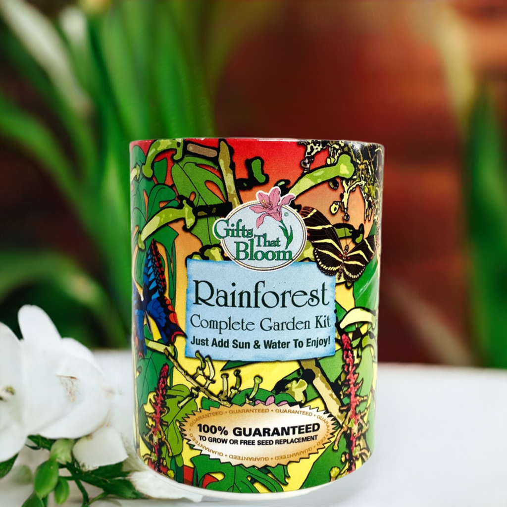 Rainforest Garden Grocan Seed Kit