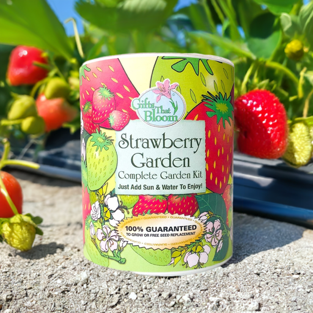 Strawberry Garden Grocan Seed Kit