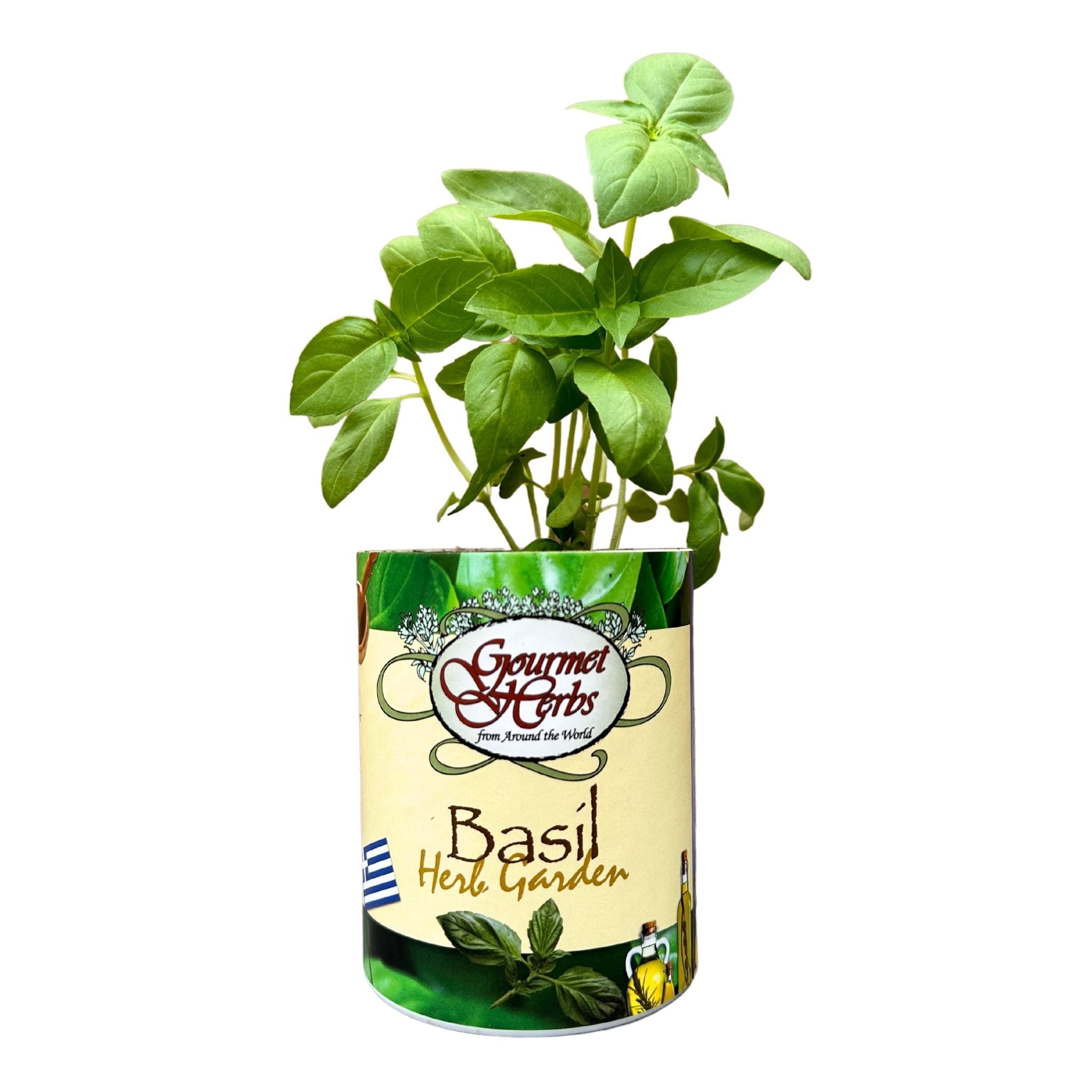 Basil Garden Grocan Gifts That Bloom